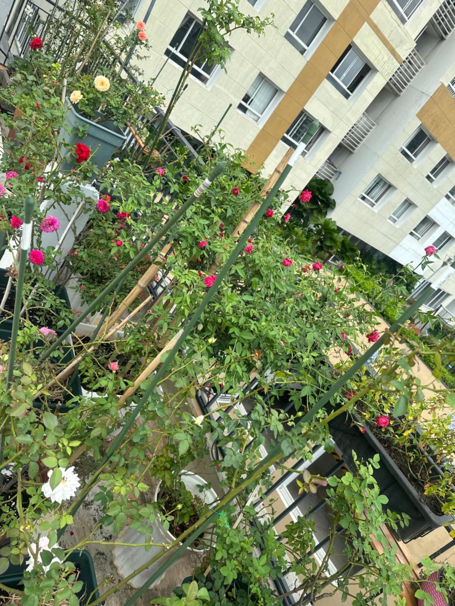 Homey Apartment Πόλη Χο Τσι Μινχ Εξωτερικό φωτογραφία