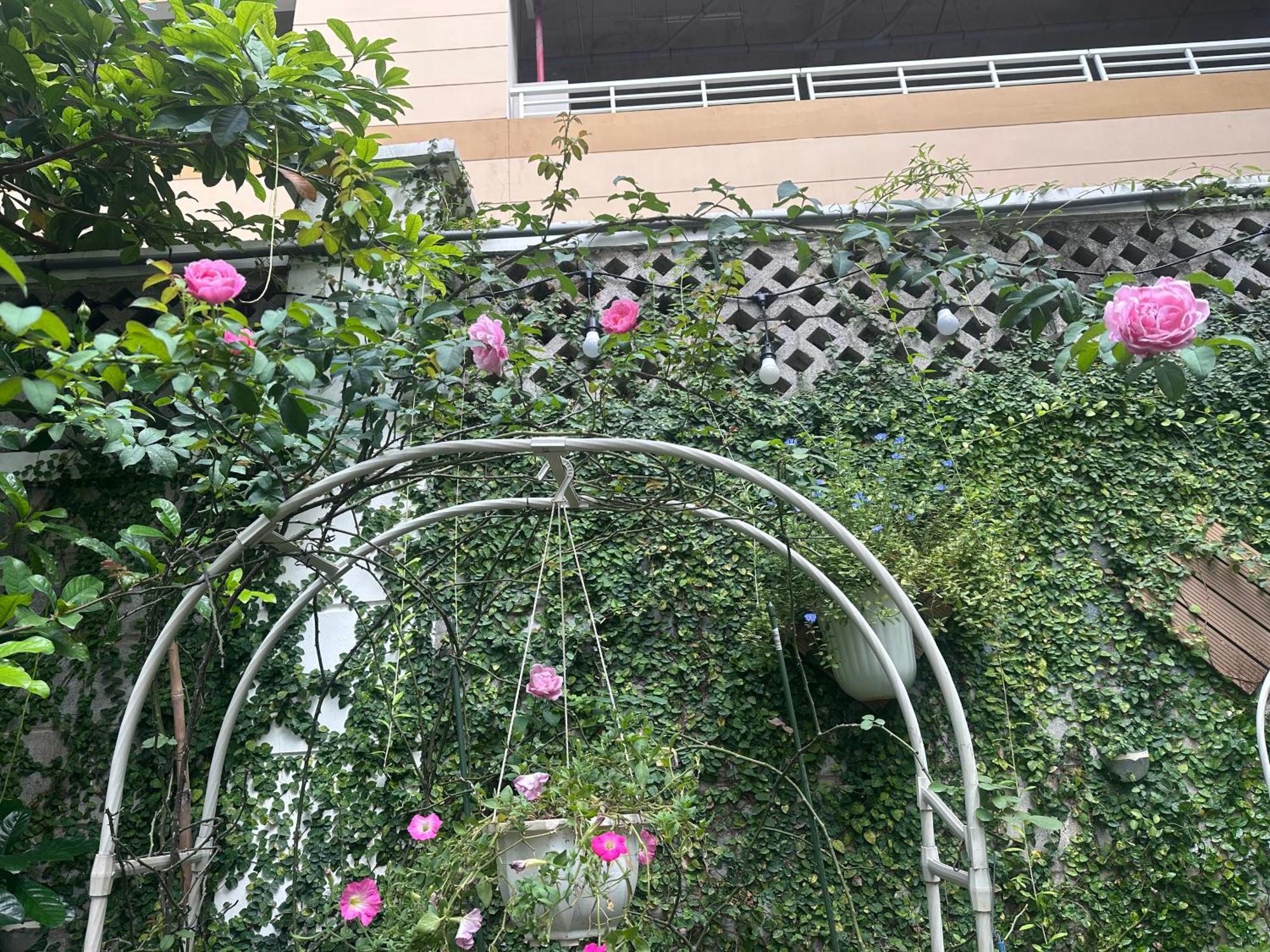 Homey Apartment Πόλη Χο Τσι Μινχ Εξωτερικό φωτογραφία